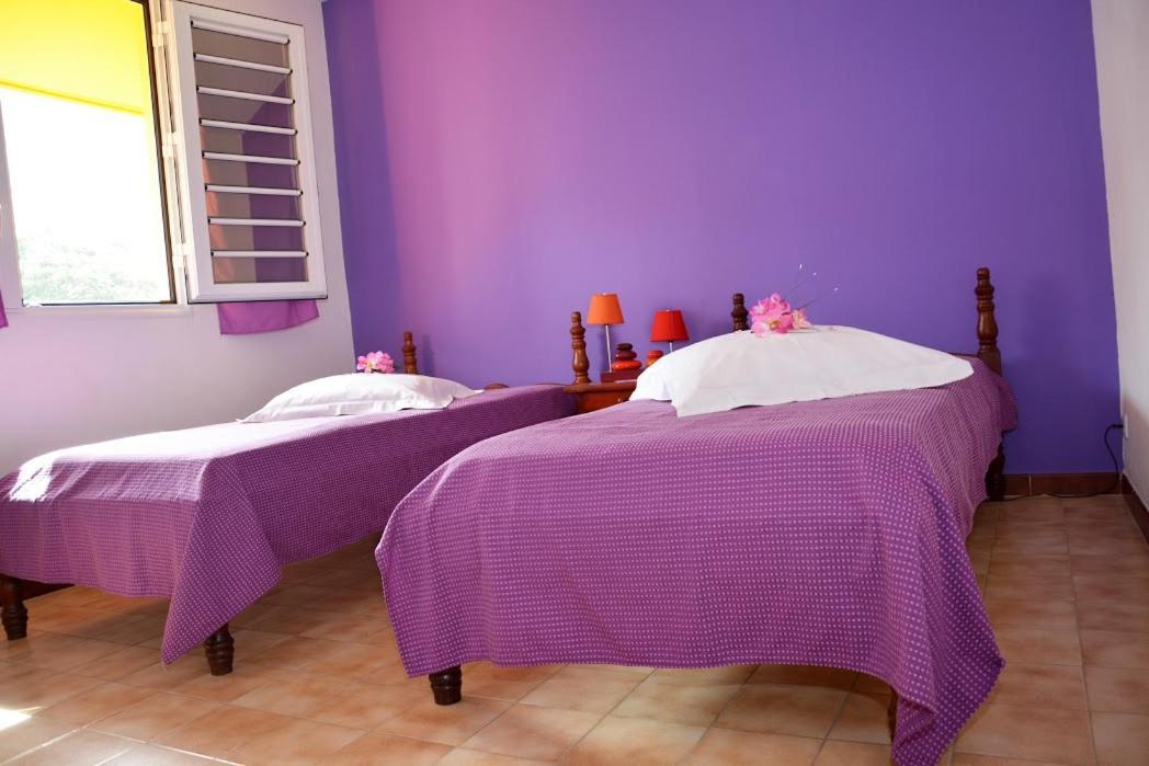 Residence De Vacances Mon Refuge - Bungalow De Type T3 Grande Anse Extérieur photo