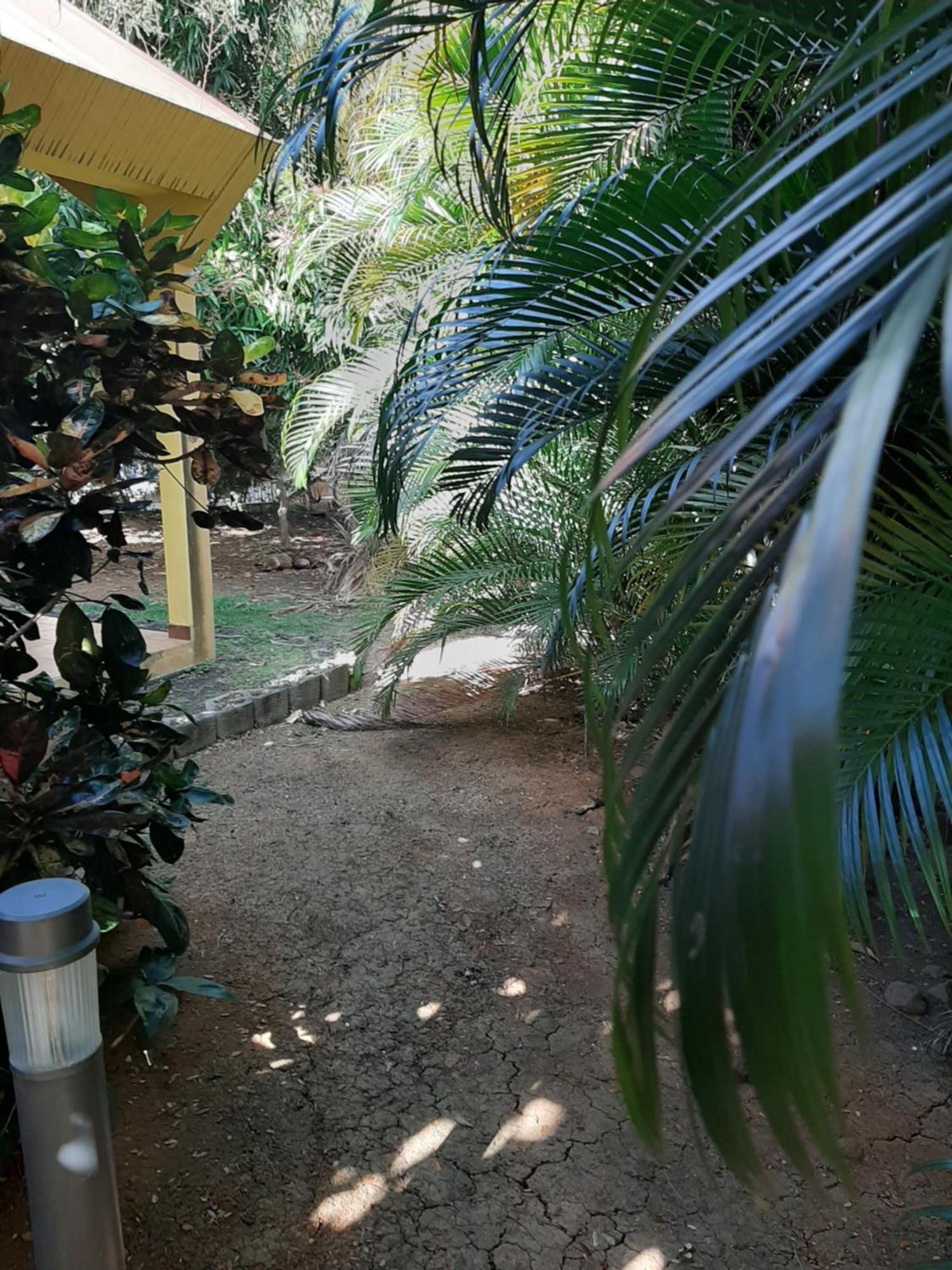 Residence De Vacances Mon Refuge - Bungalow De Type T3 Grande Anse Extérieur photo