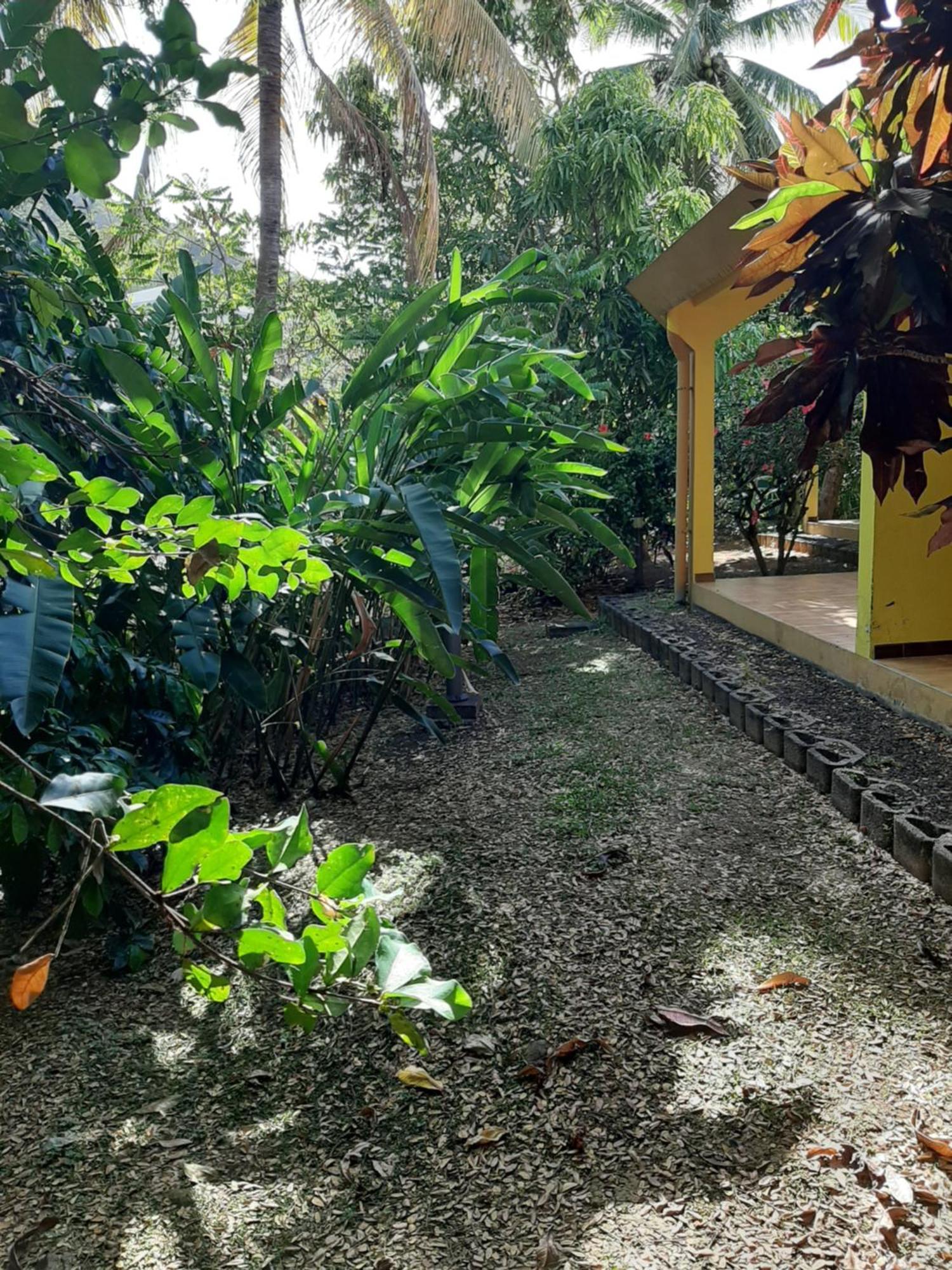 Residence De Vacances Mon Refuge - Bungalow De Type T3 Grande Anse Extérieur photo